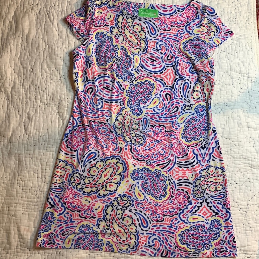 Pappagallo Dress - image 1